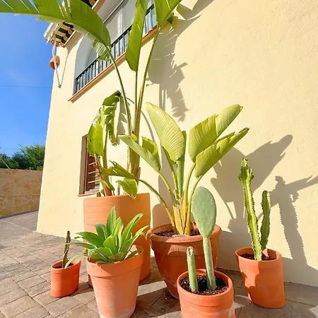 Villa Mediterranea Con Piscina Privada